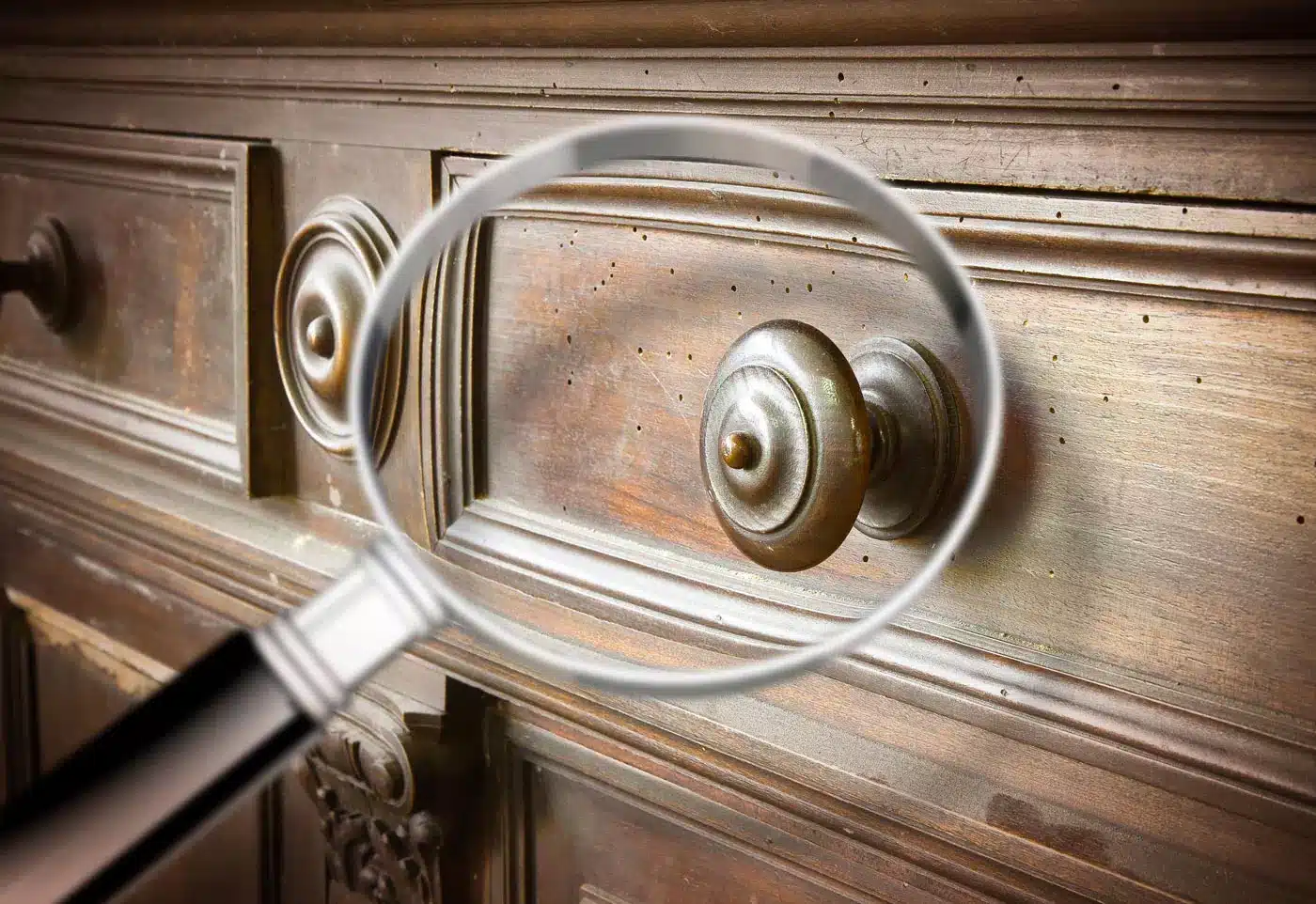 prodotti-inodore-per-legno-a-parma